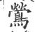 鶯(印刷字体·宋·广韵)